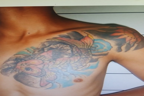 foto1